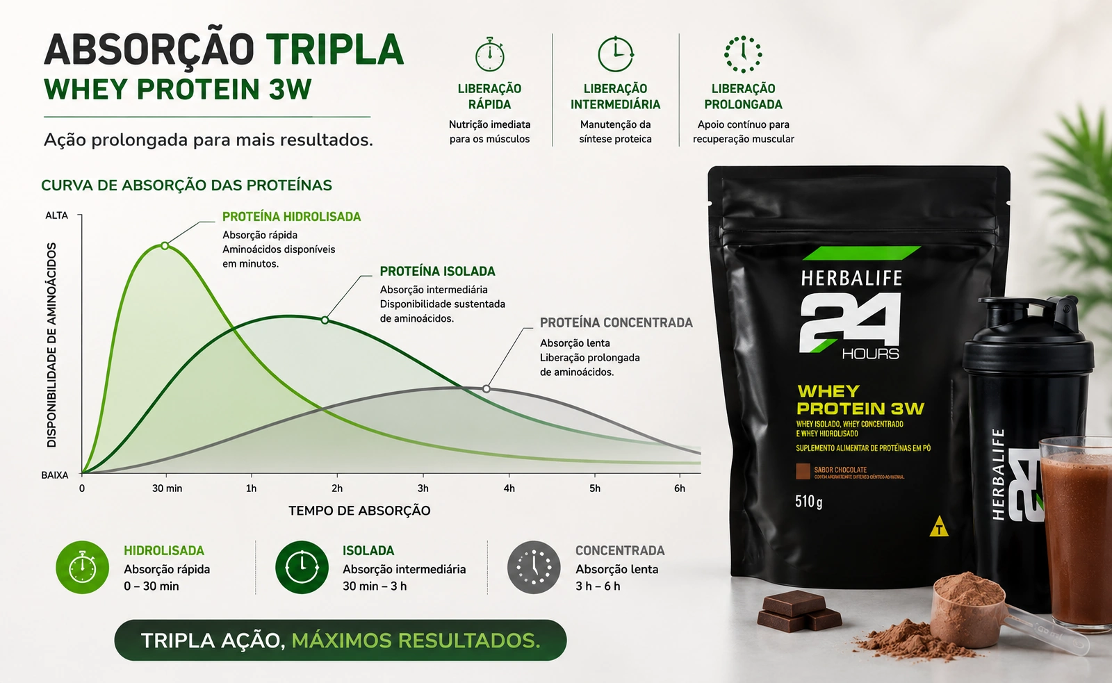 Gráfico explicativo da curva de absorção tripla do Herbalife Whey Protein 3W mostrando a ação das proteínas hidrolisada, isolada e concentrada