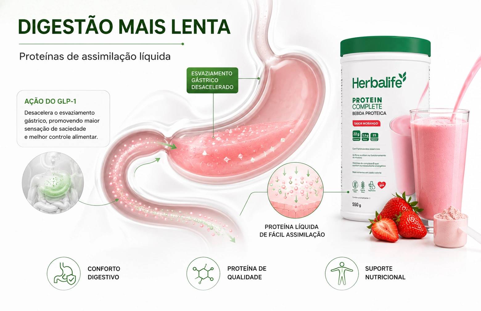 Ilustração médica demonstrando o estômago com esvaziamento desacelerado pelo uso de GLP-1 e a importância das proteínas de assimilação líquida leve