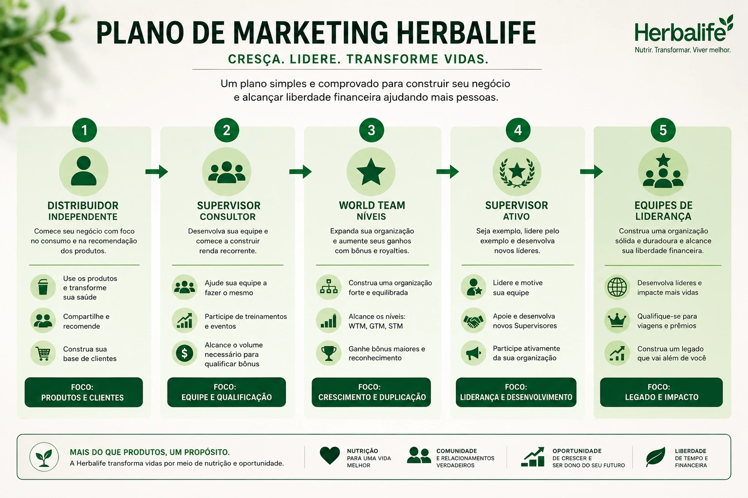 Infográfico explicativo das etapas do Plano de Marketing da Herbalife desde Distribuidor até Supervisor e Equipes de Liderança
